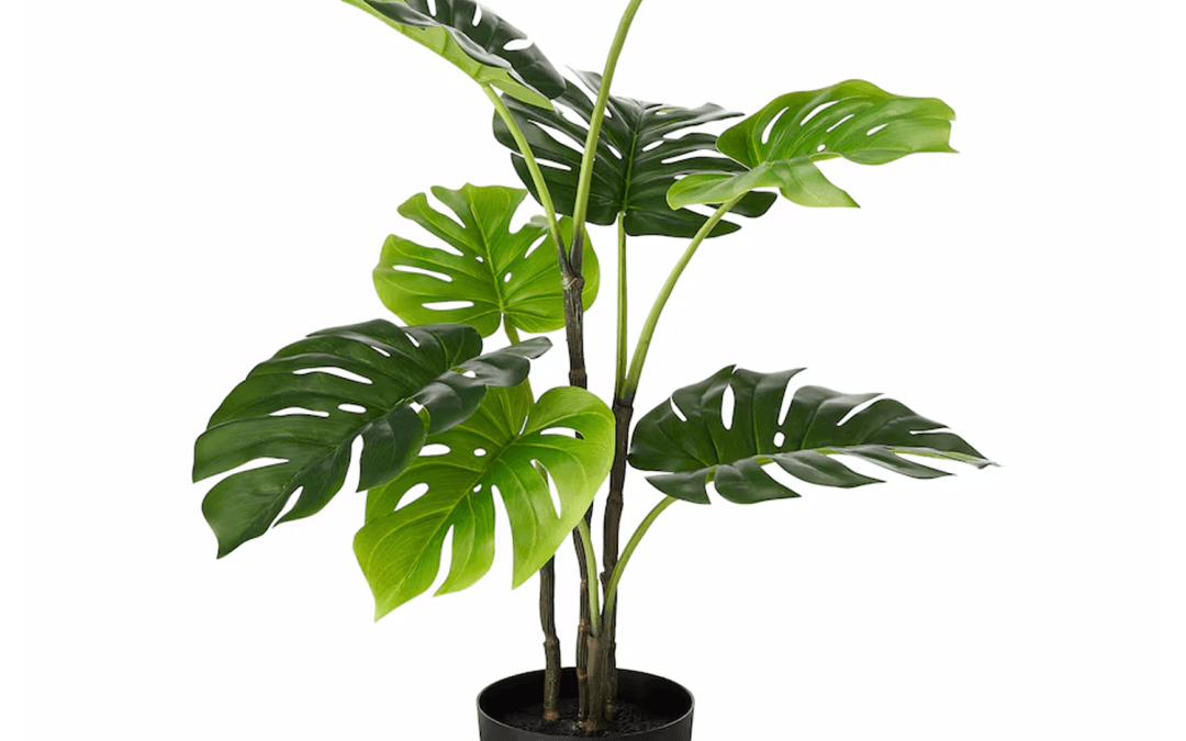 Artificial Plant