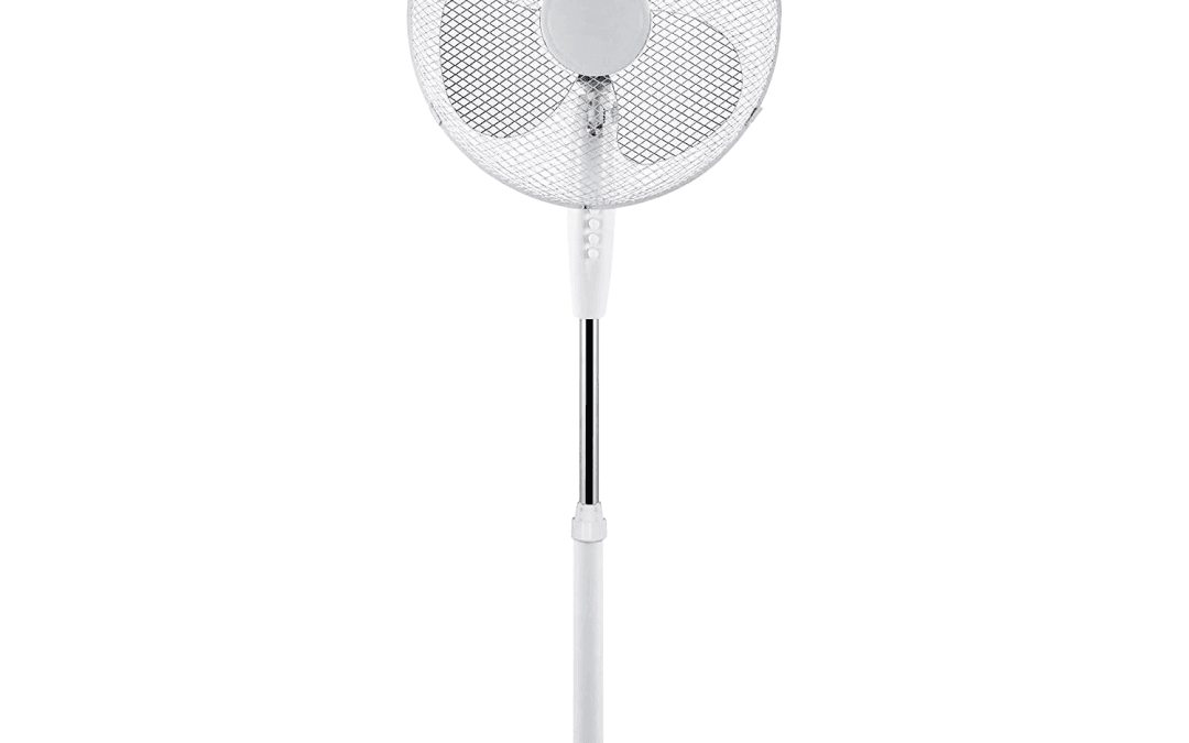 Pedestal Fan