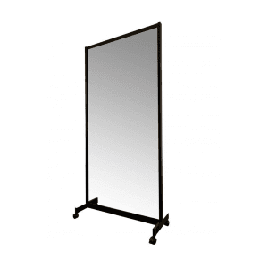 Portable Dance Mirror