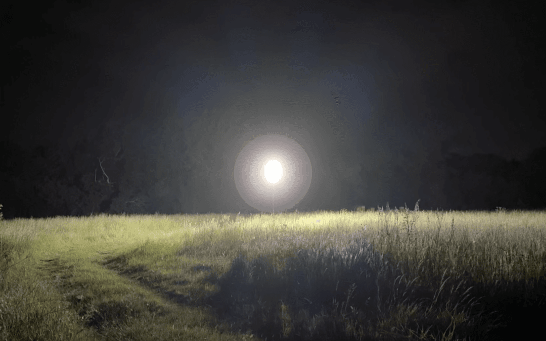 Introducing our New Dimmable Cotton Buds!