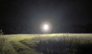 Introducing our New Dimmable Cotton Buds!